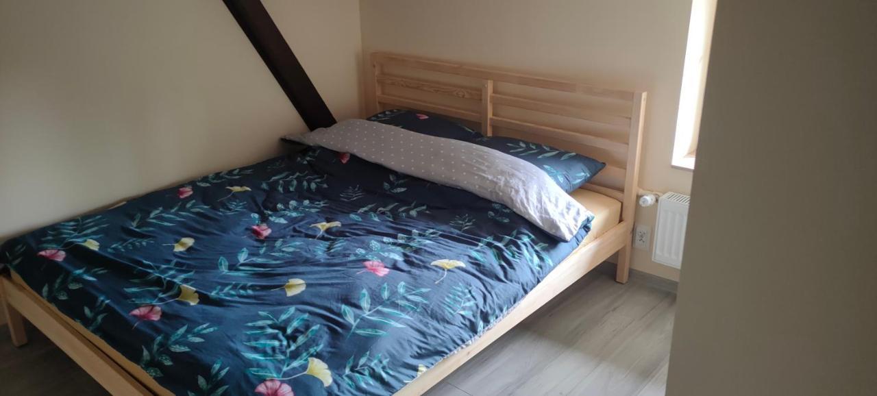 Apartamenty Daola 格但斯克 外观 照片